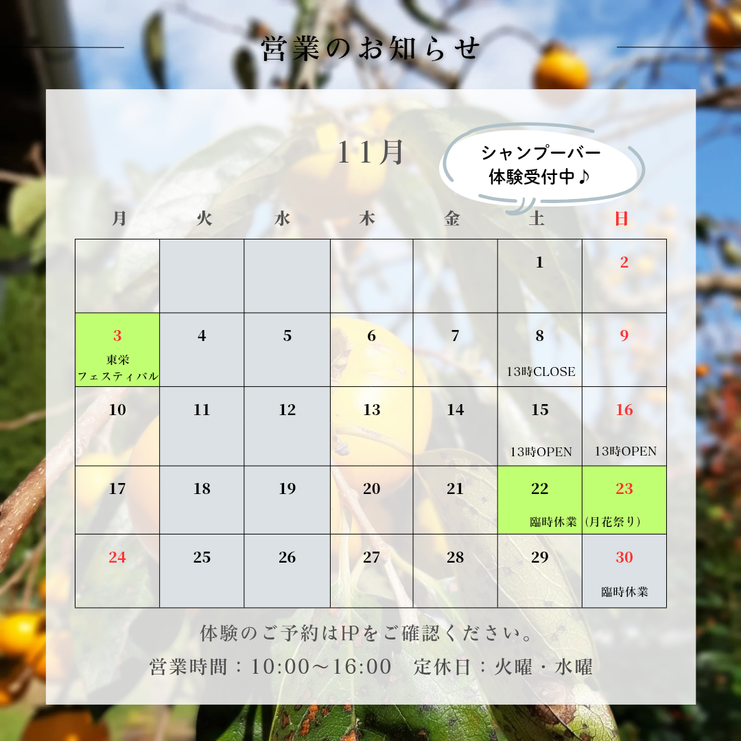 １１月のお知らせ