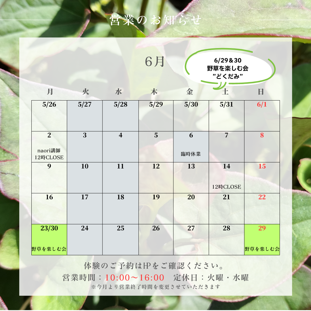 ６月のお知らせ