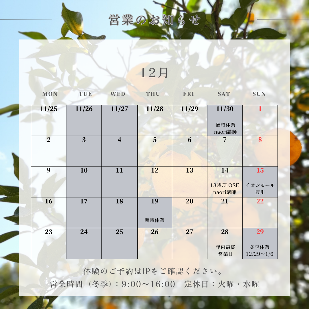 【更新しました】１２月のお知らせ