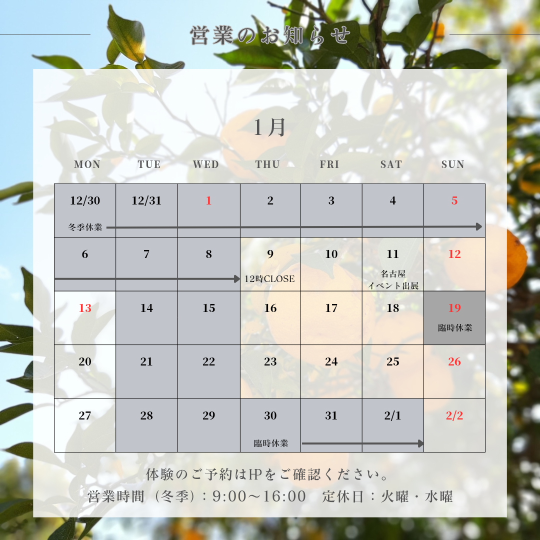 【更新しました】１月のお知らせ