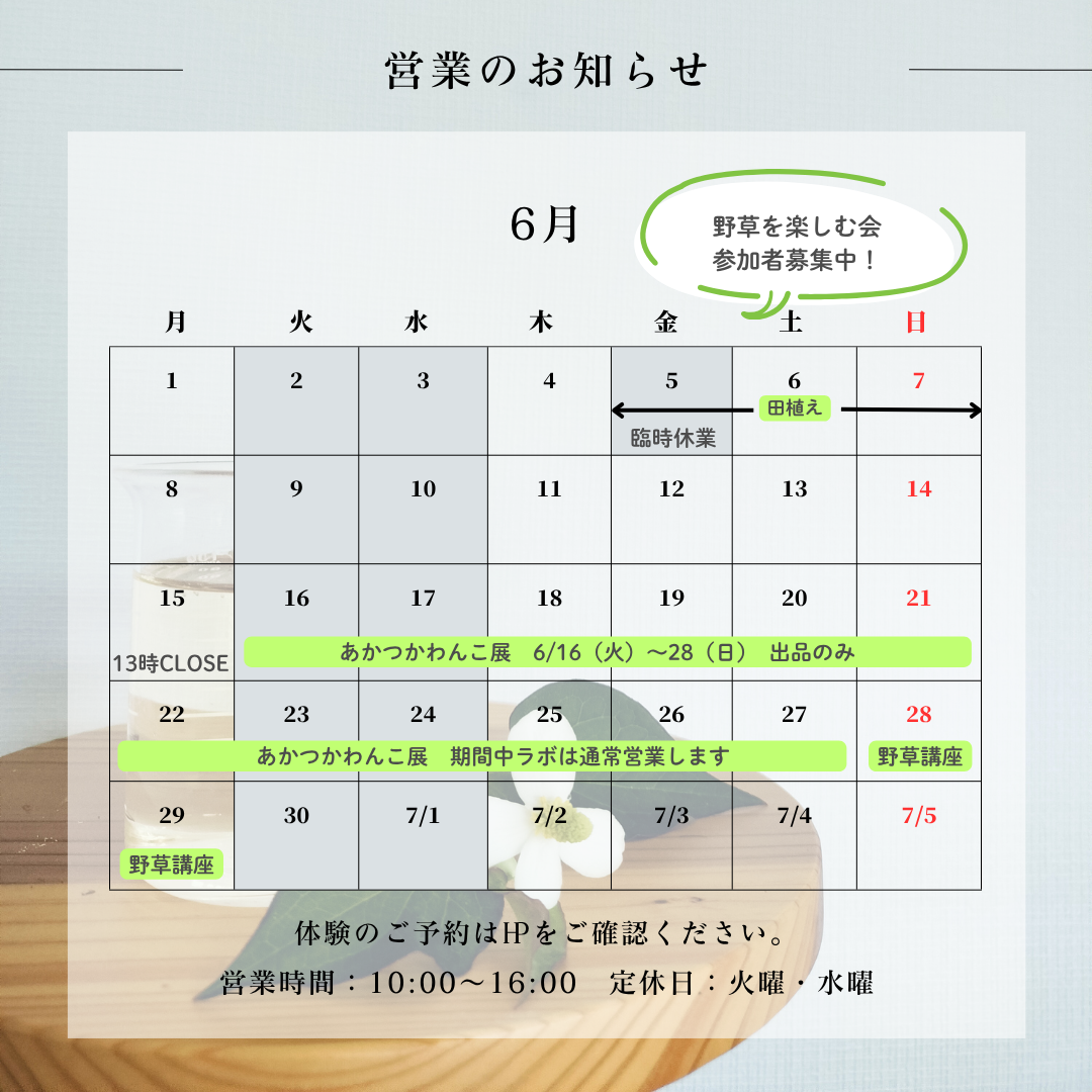 ６月のお知らせ