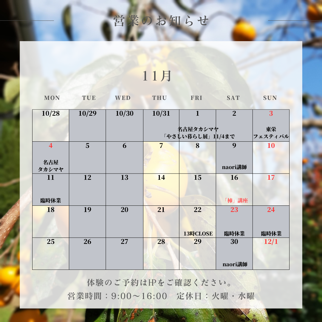１１月のお知らせ