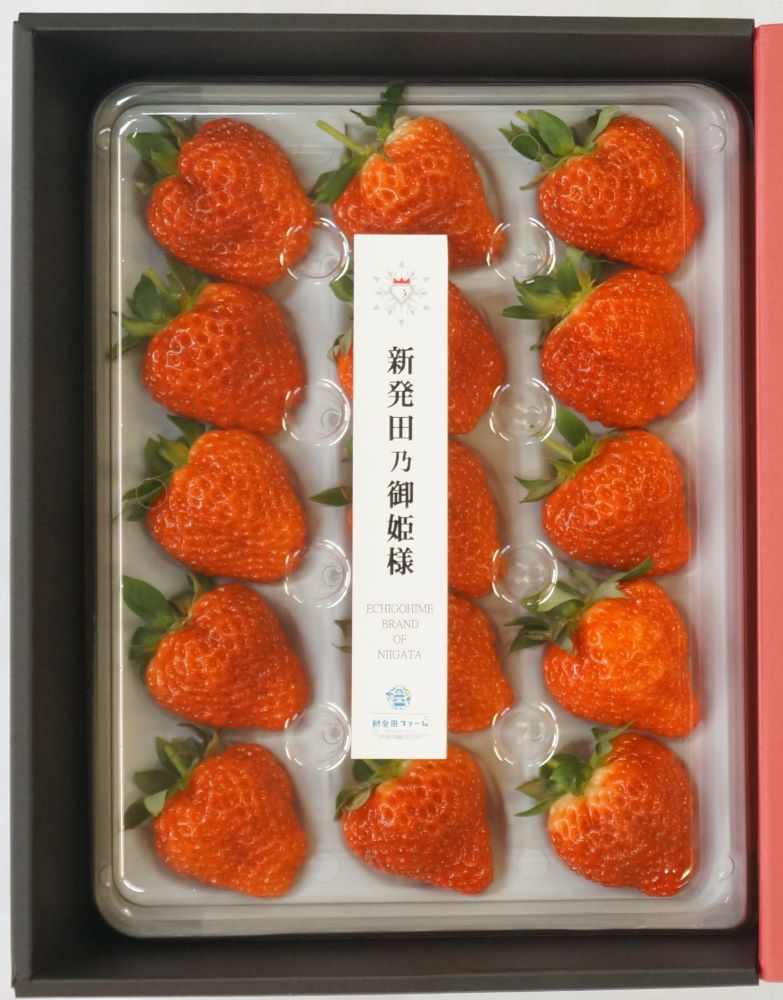 3/31まで！数量限定商品のお知らせ♪