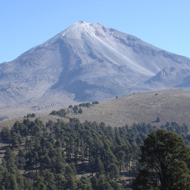 メキシコデカフェ販売開始