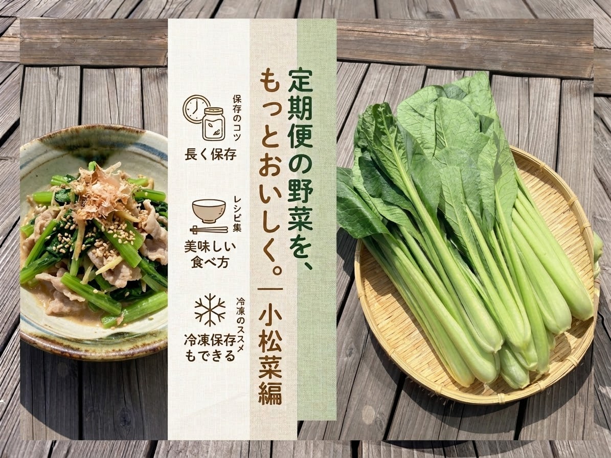 【定期便の野菜を、もっとおいしく。|小松菜編】冷蔵庫で2週間?万能野菜の保存とおいしい食べ方
