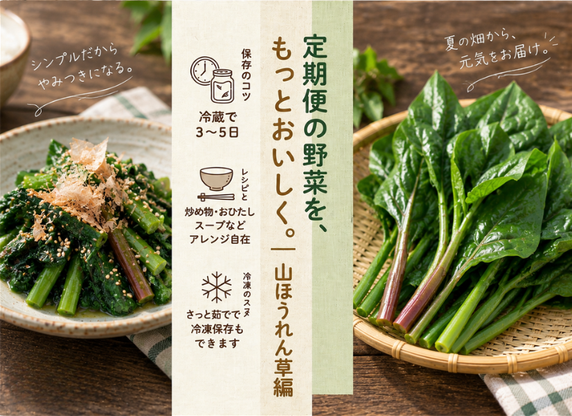 【定期便の野菜を、もっとおいしく。|山ほうれん草編】普通のほうれん草と何が違う?