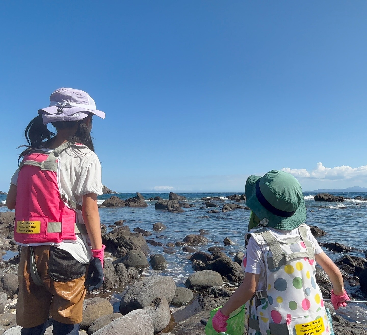 夏だ！海だ！ウミウシだー！Tシャツだ！