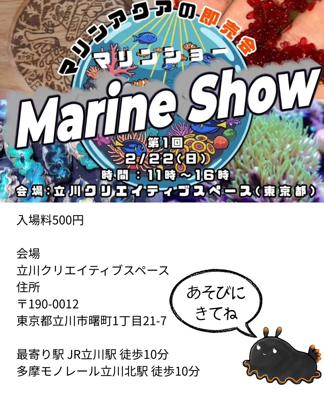 海の生き物好きが集まるイベントに出店します！