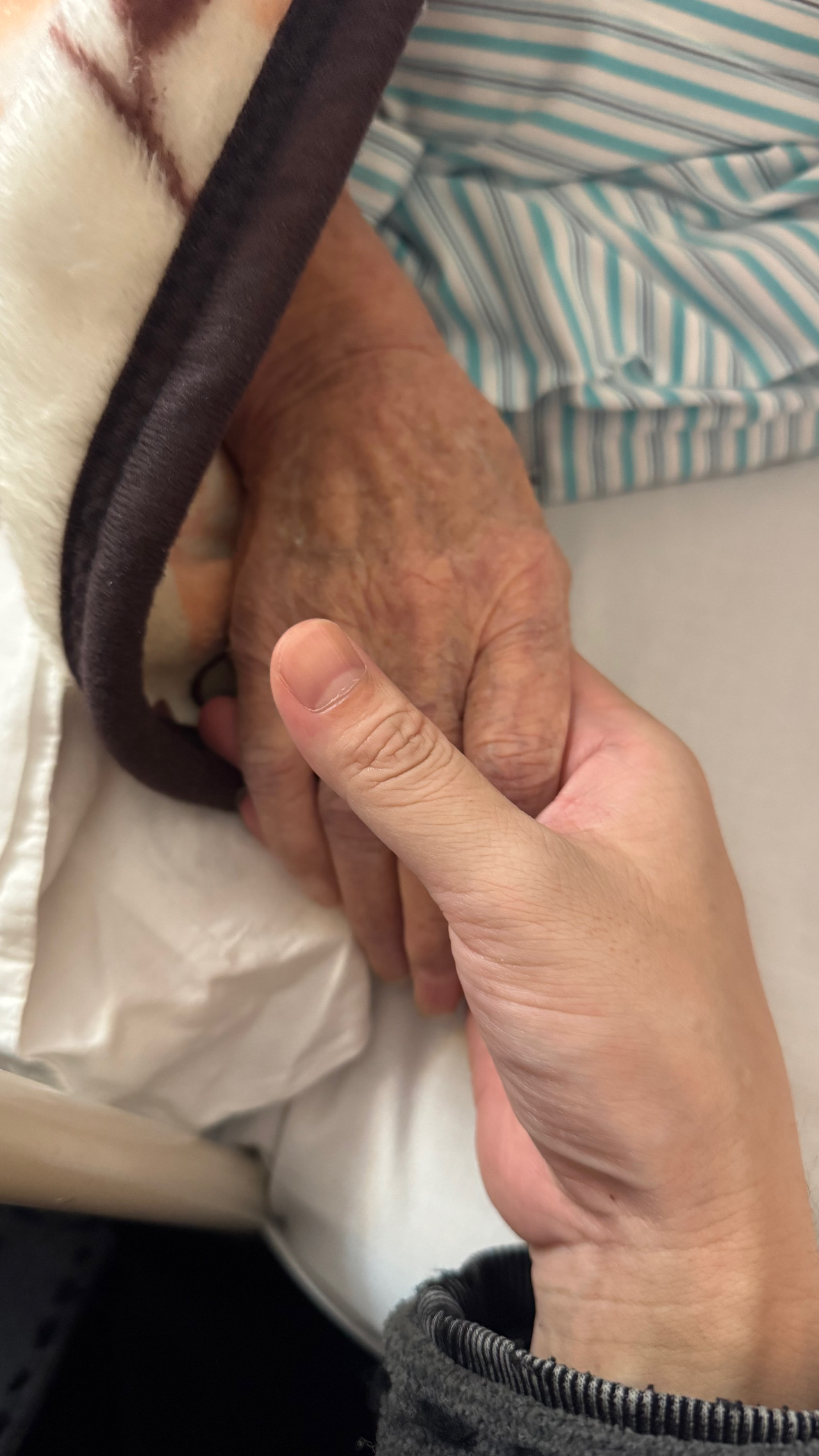 今更な自己紹介と日常