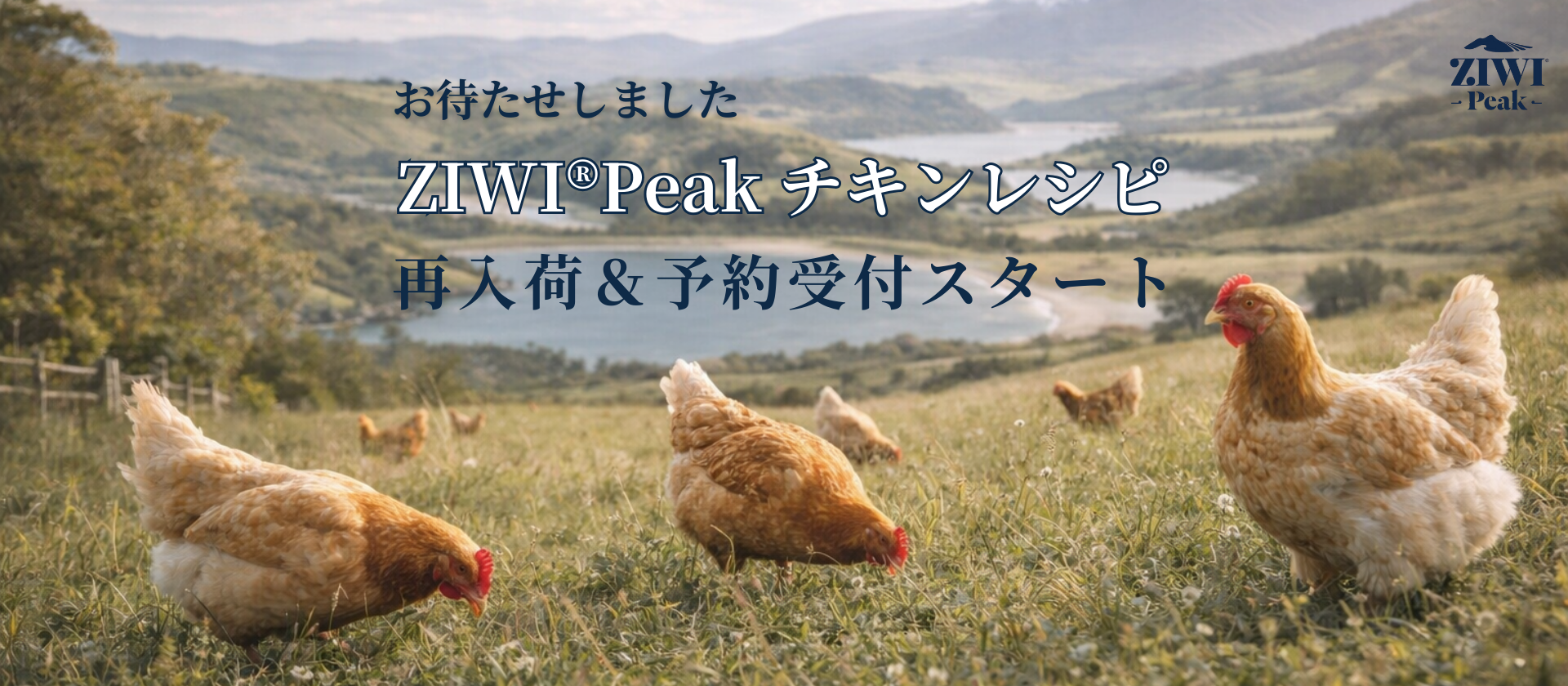 【重要なお知らせ】ZIWI®Peak チキン製品 販売再開・予約開始のご案内