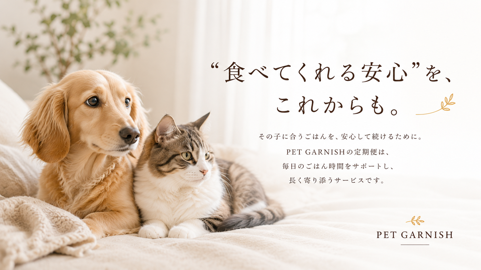 定期便のご案内