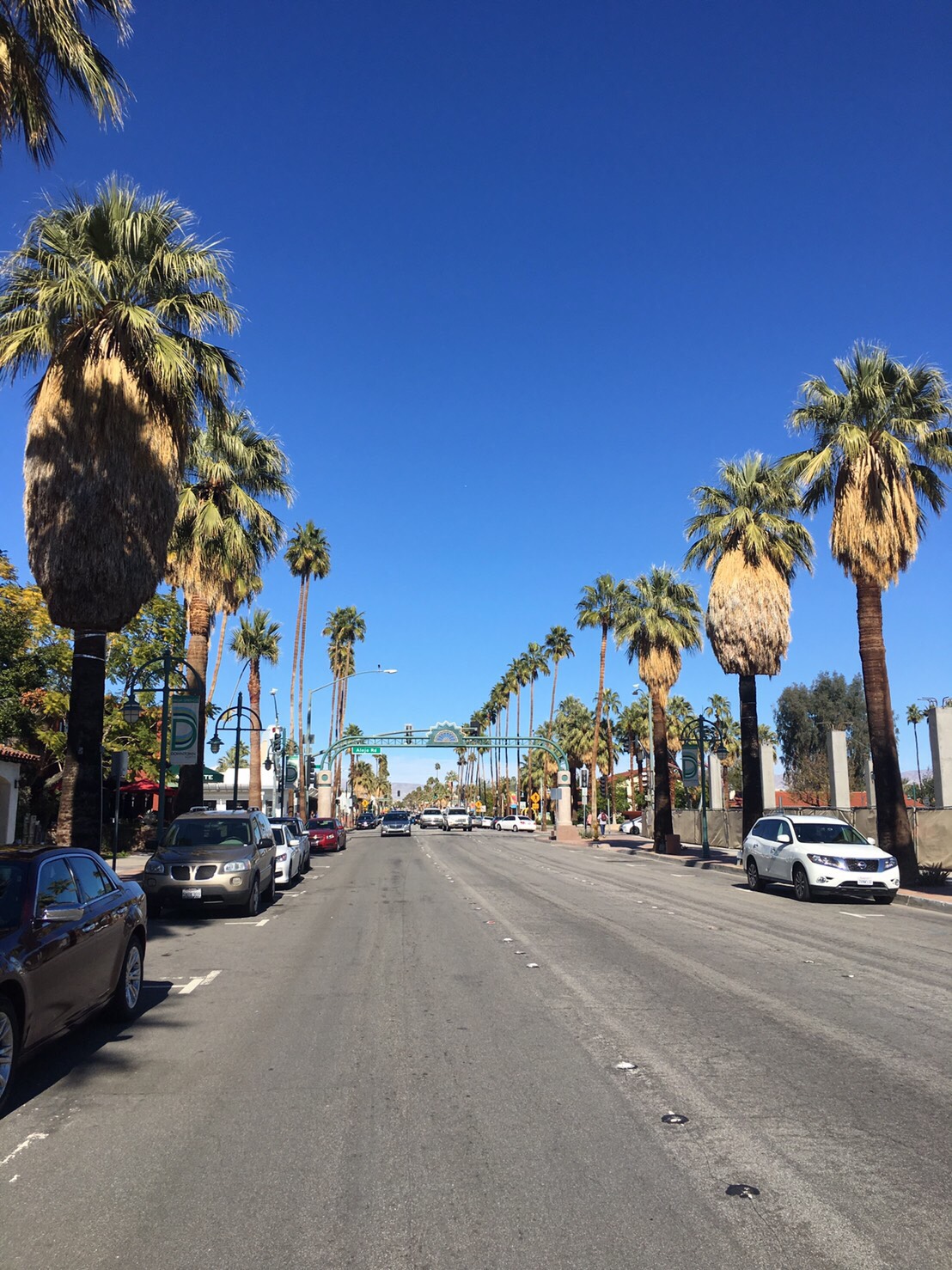 砂漠とヤシと温泉と『Palm Springs』