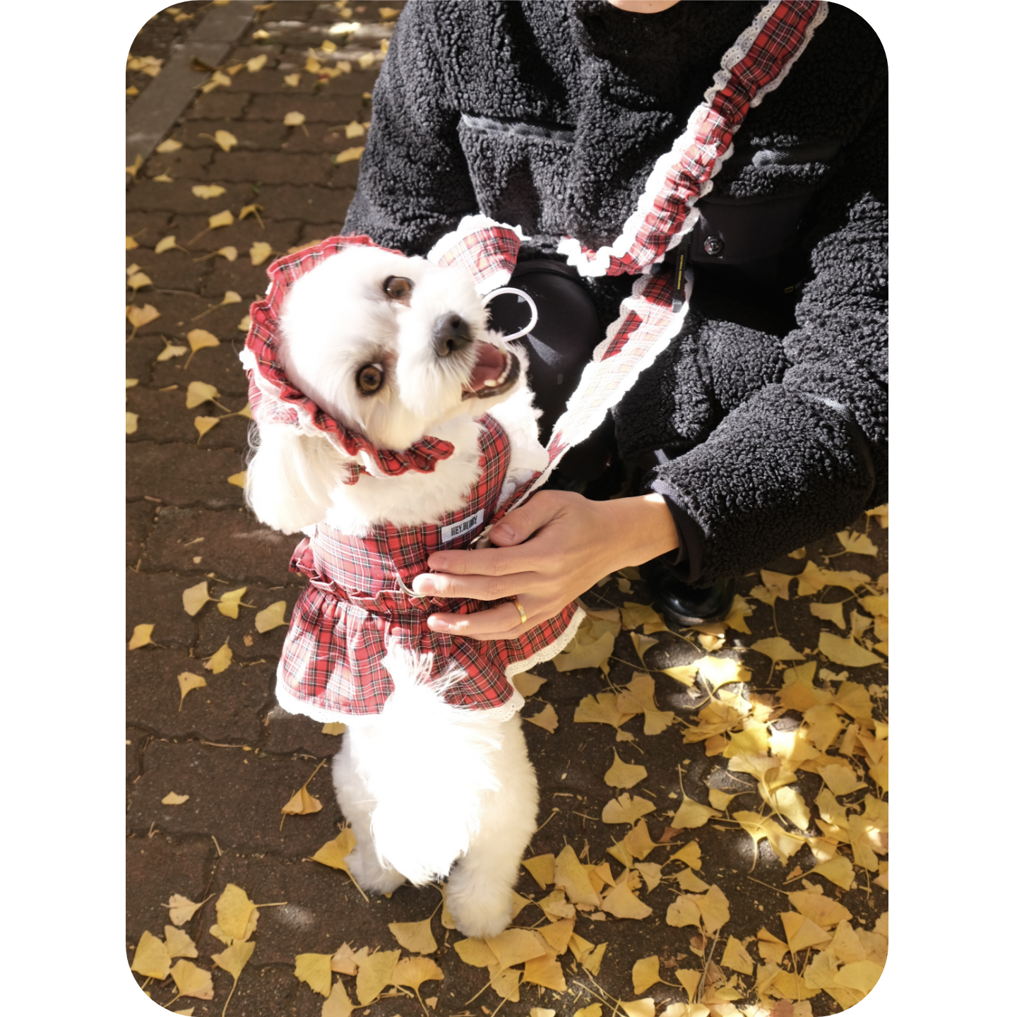 プロローグ - 別々の歩幅で、一緒に歩く -