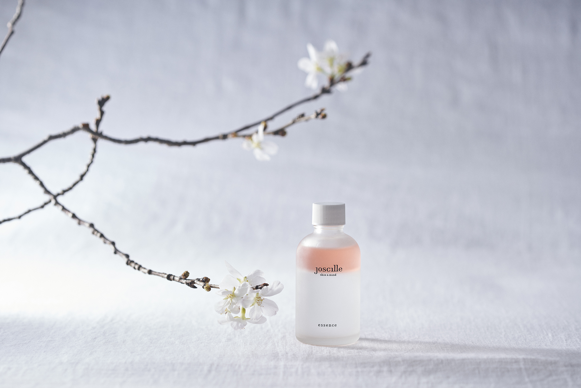 京都岡崎 蔦屋書店にて pop up開催のお知らせ