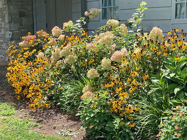 カヒミカリィBLOG連載/FRIEND'S BLOGS連載/JOURNAL連載