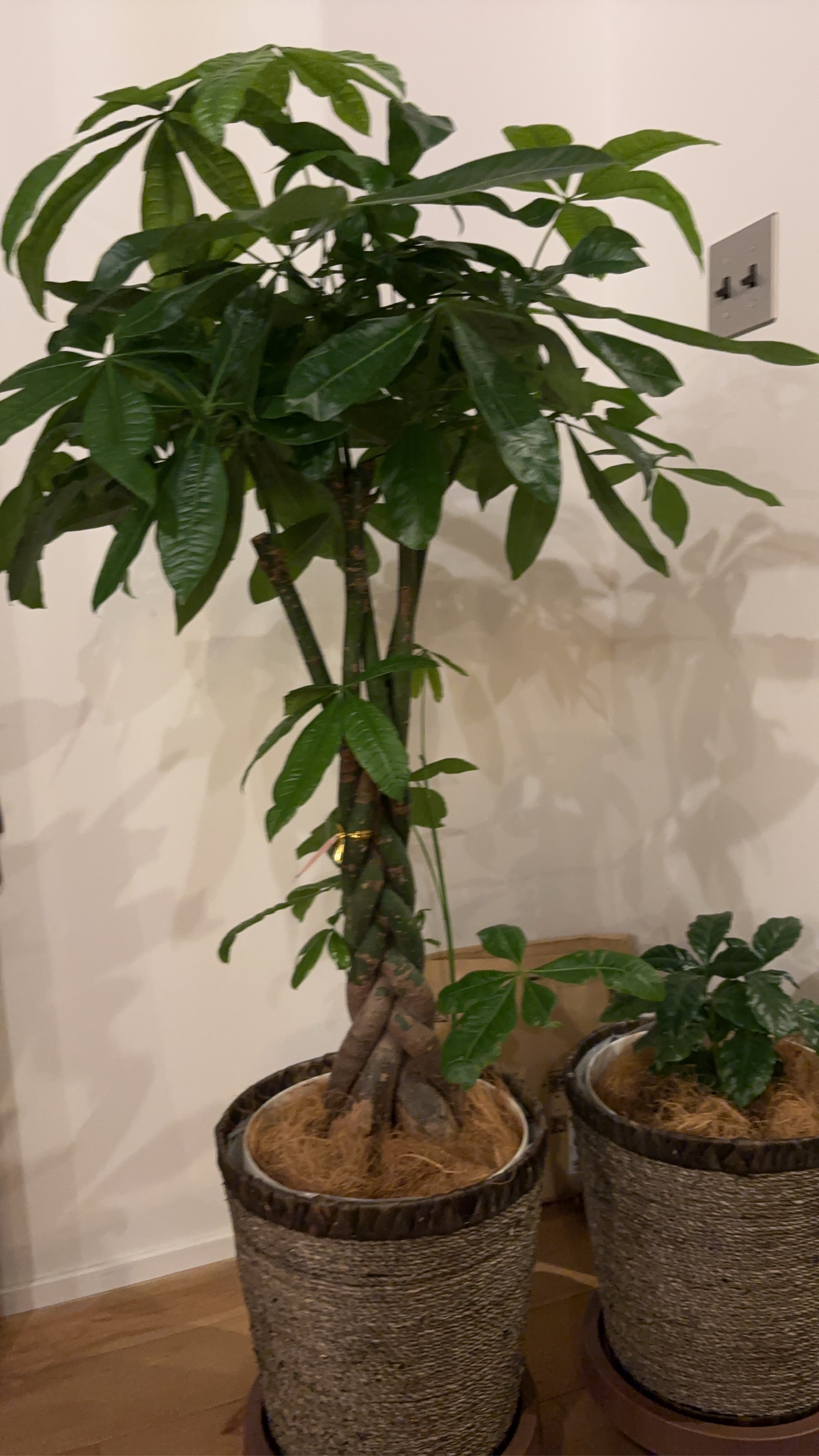 家族優先の時間