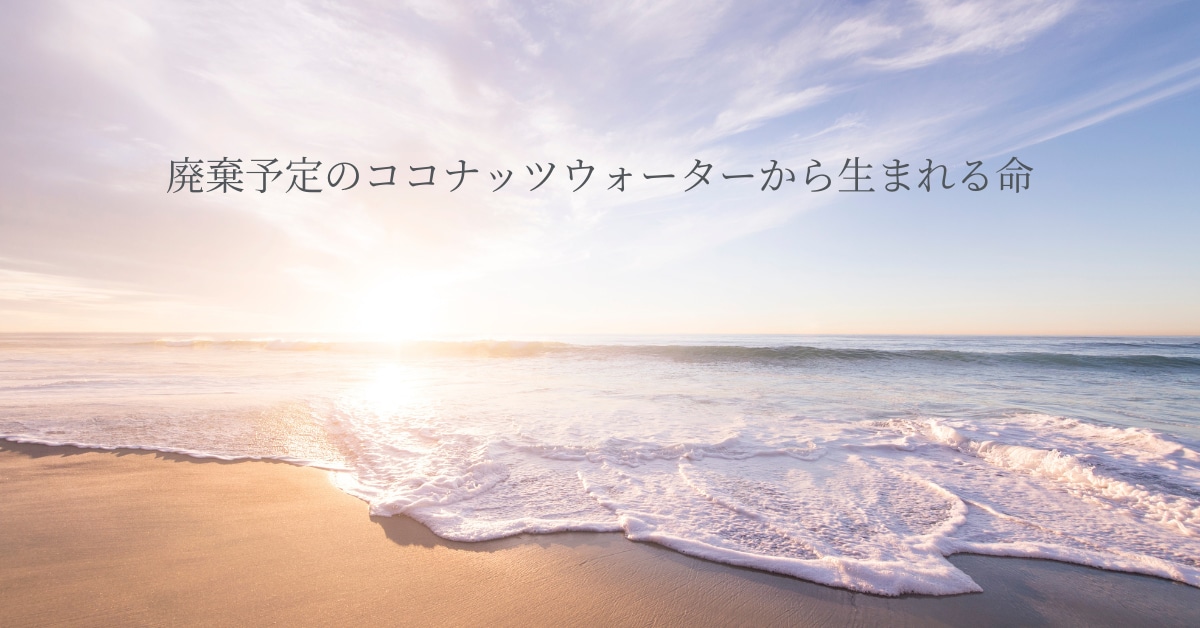 tells marketに出店スタートしました！