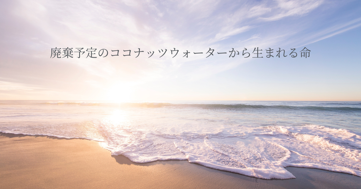 廃棄予定のココナッツウォーターから生まれる命