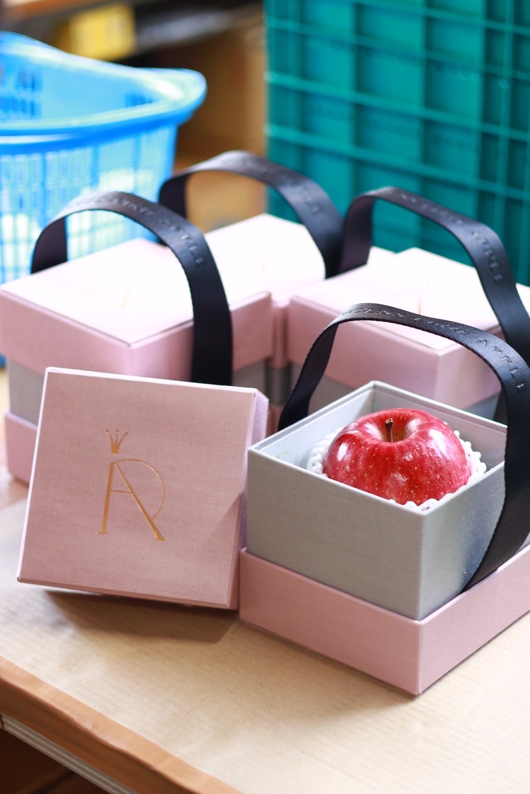 2026年度LADY PIKO APPLE始動！！