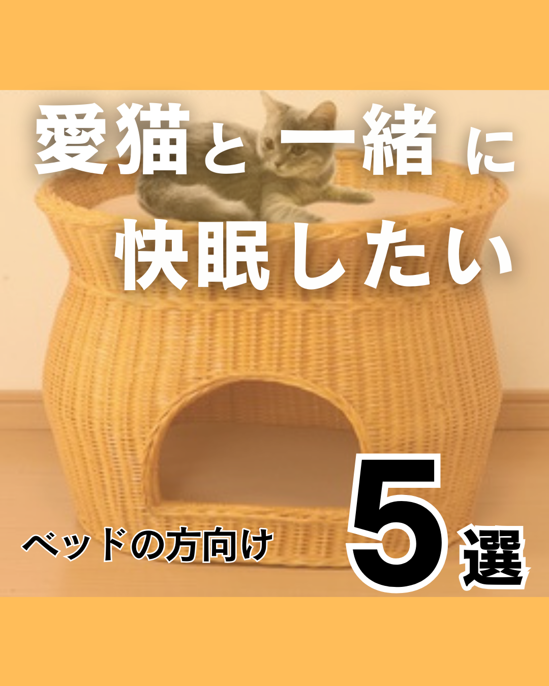 猫と一緒に快眠！ベッド横に置ける ペット用ソファ＆ベッド 寝不足対策