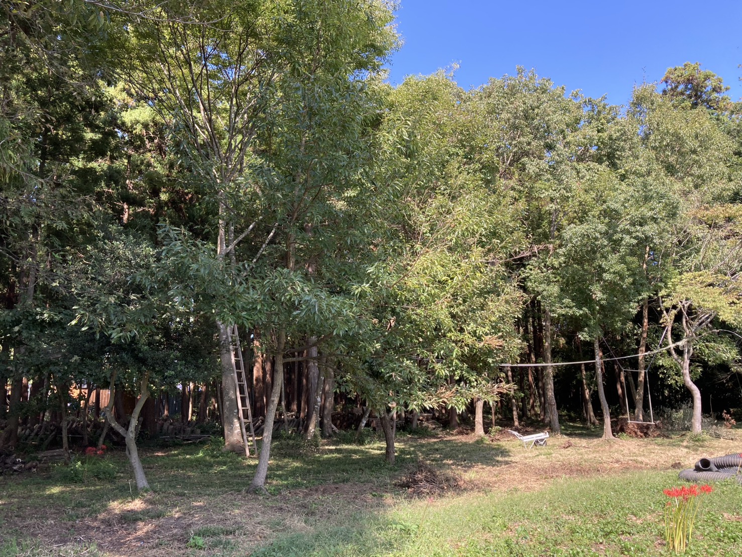 価格改定のお知らせ（2025年10月時点）