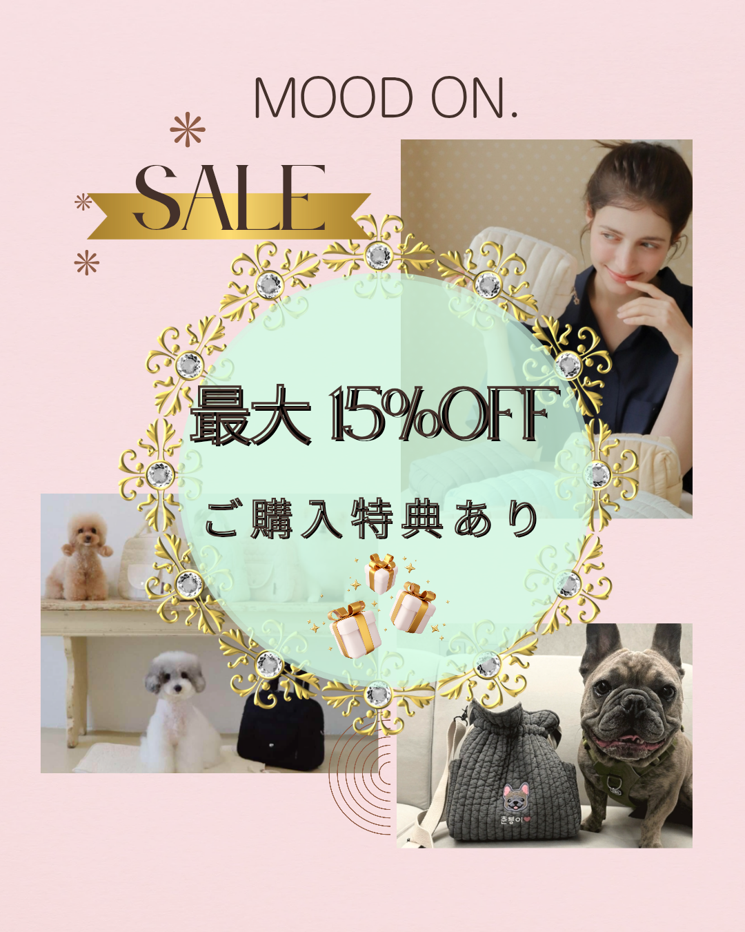 ✨MOOD ON. うちの子いっぱいキャンペーン開催中🐾