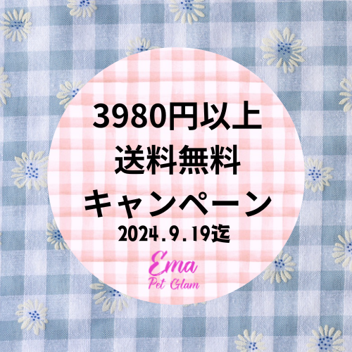 オープン記念☆3980円以上で送料無料！