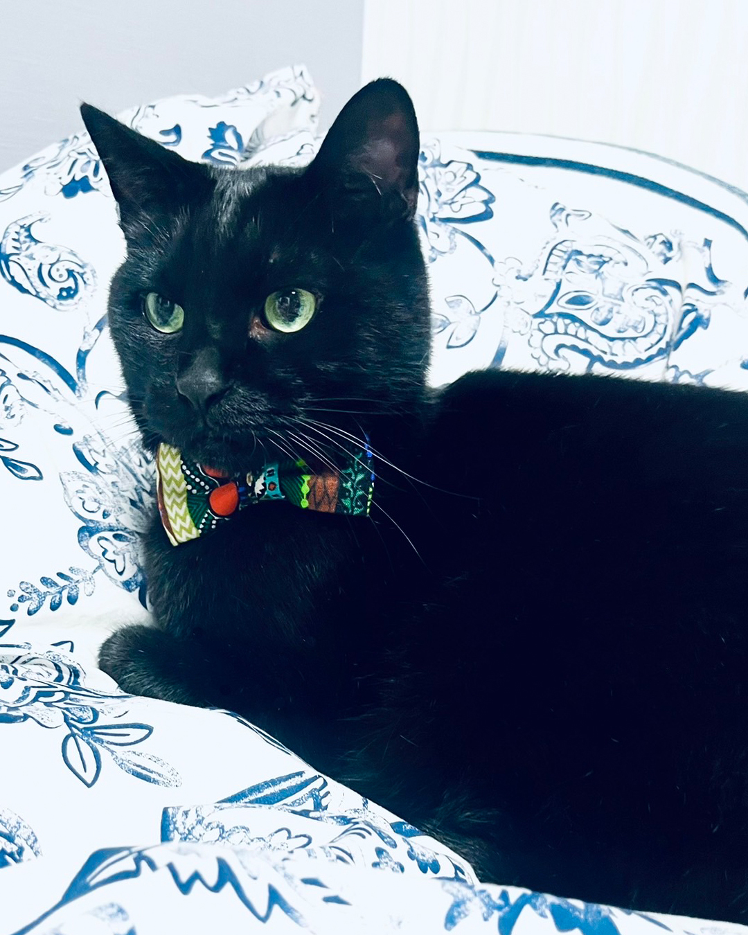 臨時定休日のお知らせ 2026年4月