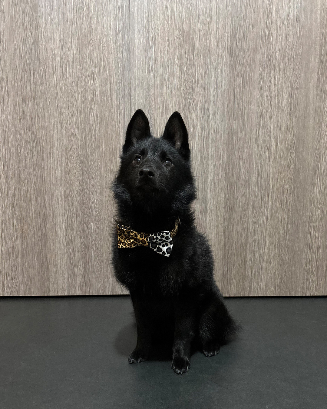 年末年始休業日のお知らせ