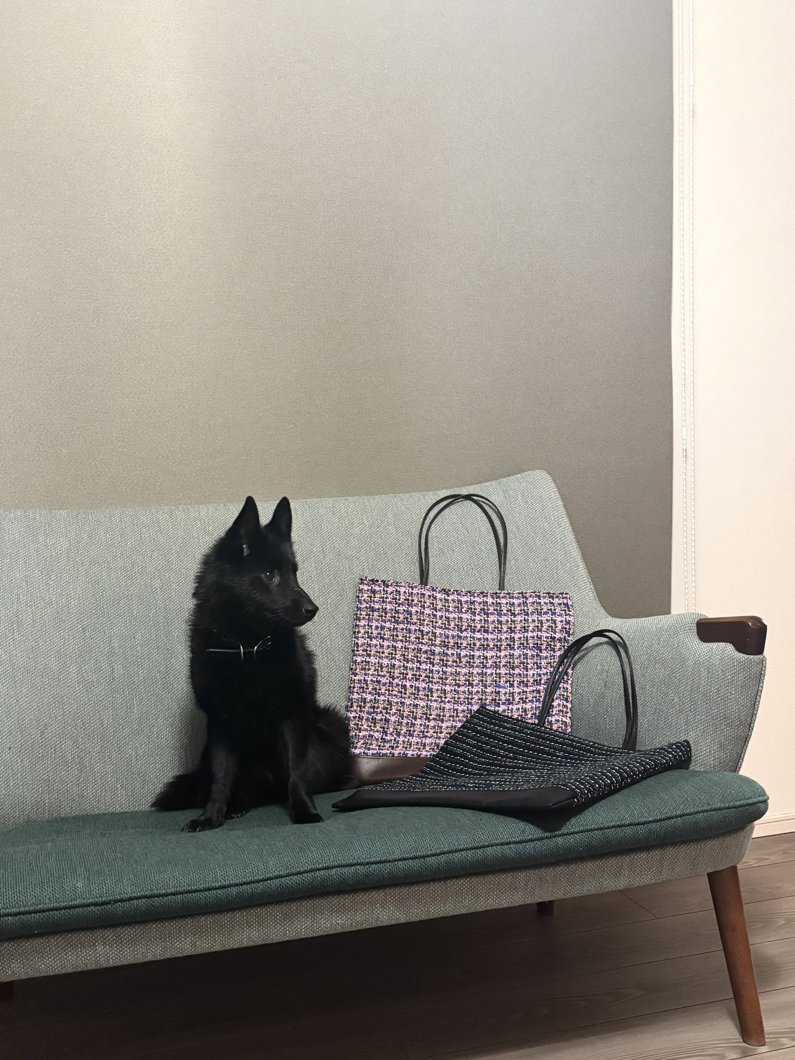 衣装提供のお知らせ　TVドラマ：WOWOW 池井戸潤スペシャル「かばん屋の相続」