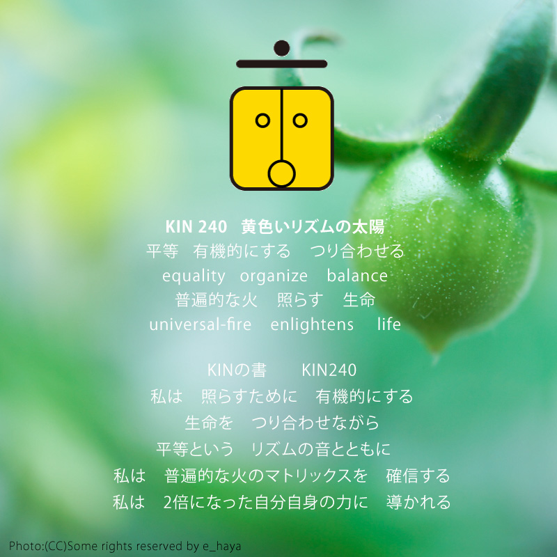 白い磁気の魔法使いの年　太陽の月3日　KIN240黄色いリズムの太陽の日