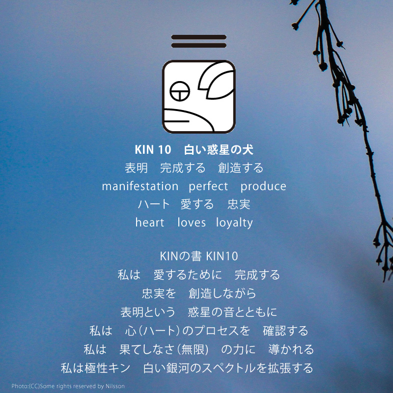 白い磁気の魔法使いの年　惑星の月5日　KIN10白い惑星の犬の日