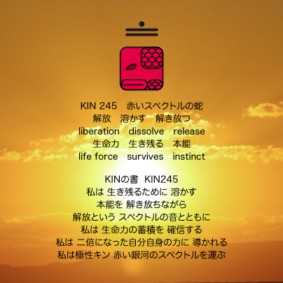 白い磁気の魔法使いの年　太陽の月8日　KIN245赤いスペクトルの蛇の日