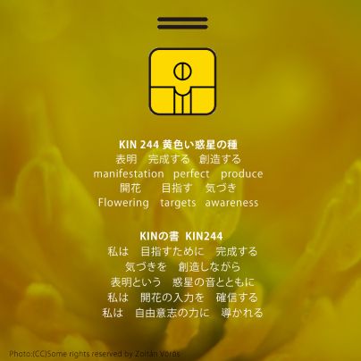 磁気の月16日　KIN244黄色い惑星の種の日