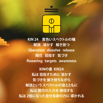 白い磁気の魔法使いの年　惑星の月19日　KIN24黄色いスペクトルの種の日