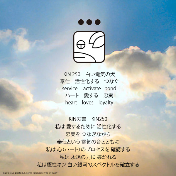 白い磁気の魔法使いの年　太陽の月13日　KIN250白い電気の犬の日