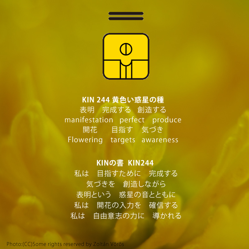 白い磁気の魔法使いの年　太陽の月7日　KIN244黄色い惑星の種の日