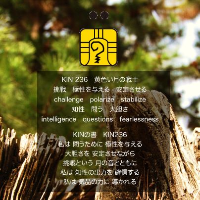 白い磁気の魔法使いの年　銀河の月27日　KIN236黄色い月の戦士の日