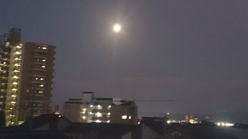 十五夜と十六夜