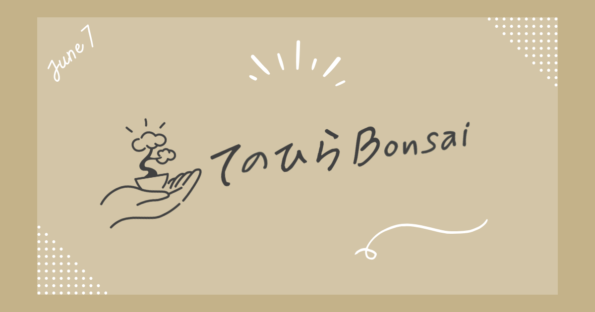 てのひらBonsai鉢　新入荷★