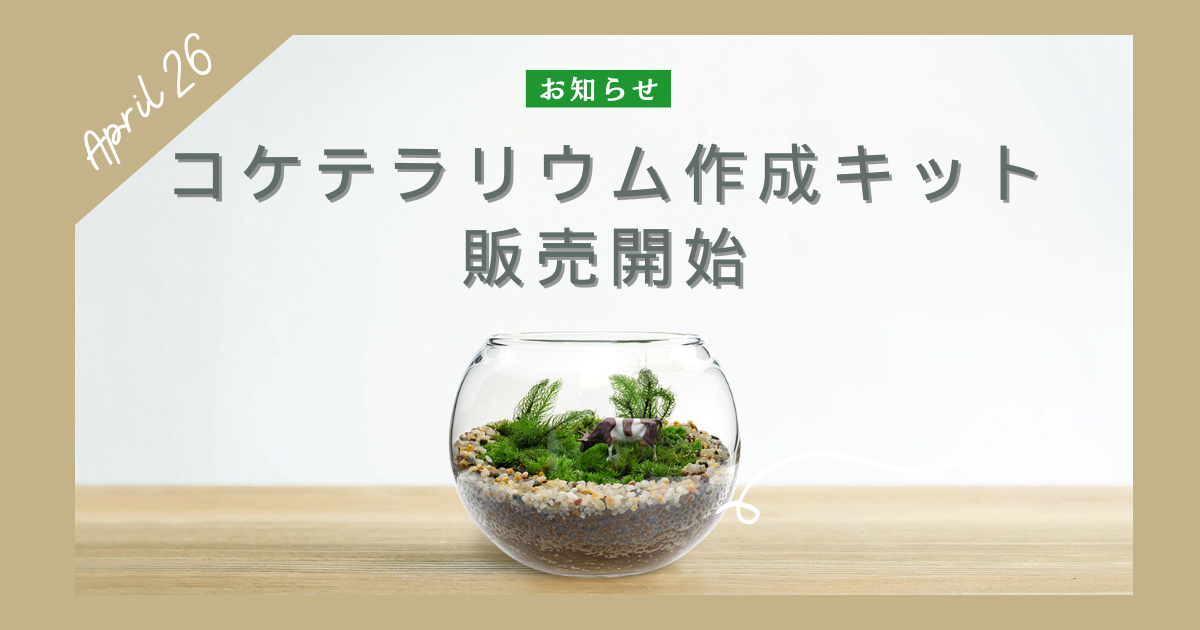 【New】Craft kit 発売開始