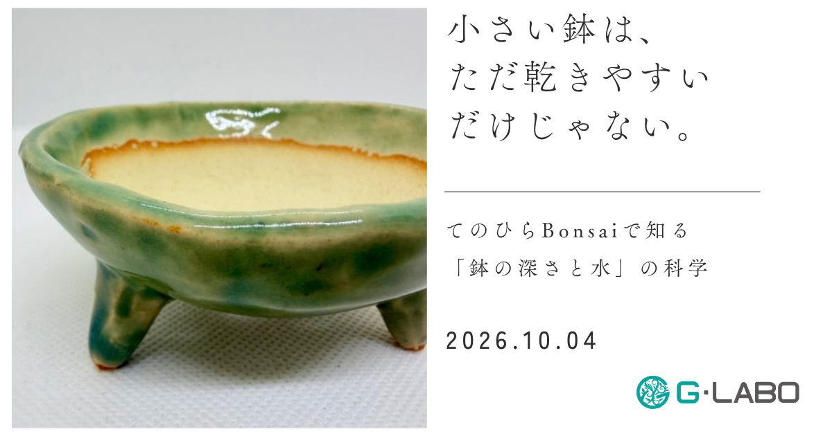 小さい鉢は、ただ乾きやすいだけじゃない。