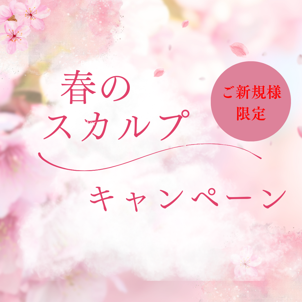 MajoLabo.キャンペーン開催中♪