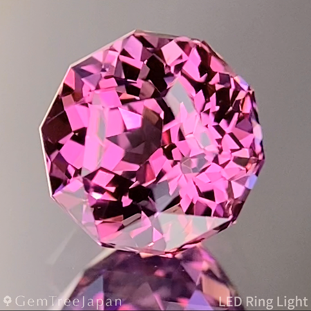 【Vol.31】春らしさを味わうポッキリ価格!春一番セール【Spring Trial】