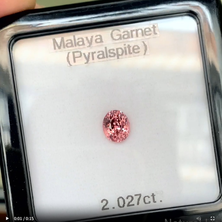 【Vol.12】ノリちゃんの独り言、マラヤ＆クーポン宣伝