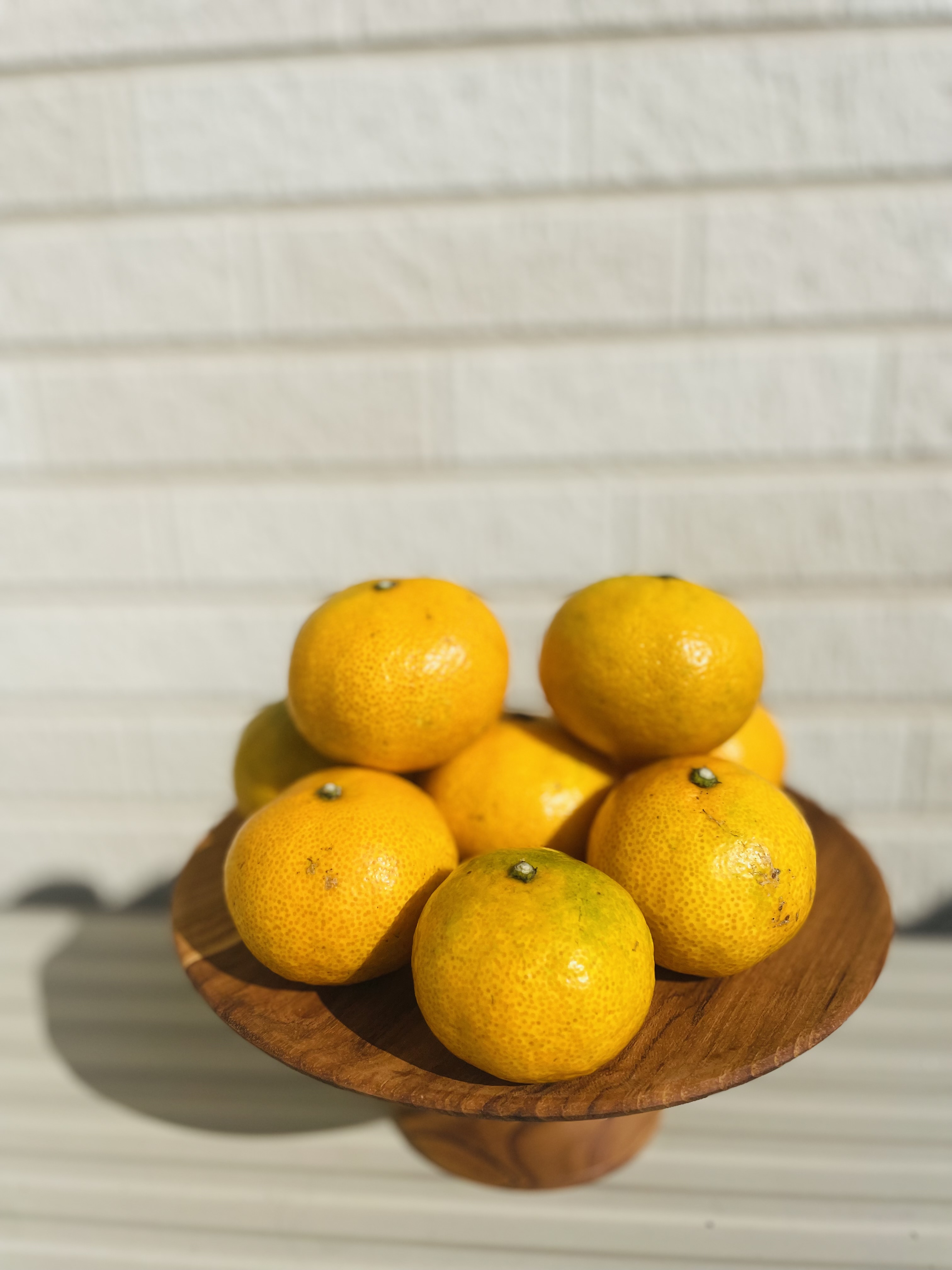 早生みかん🍊はじまります!