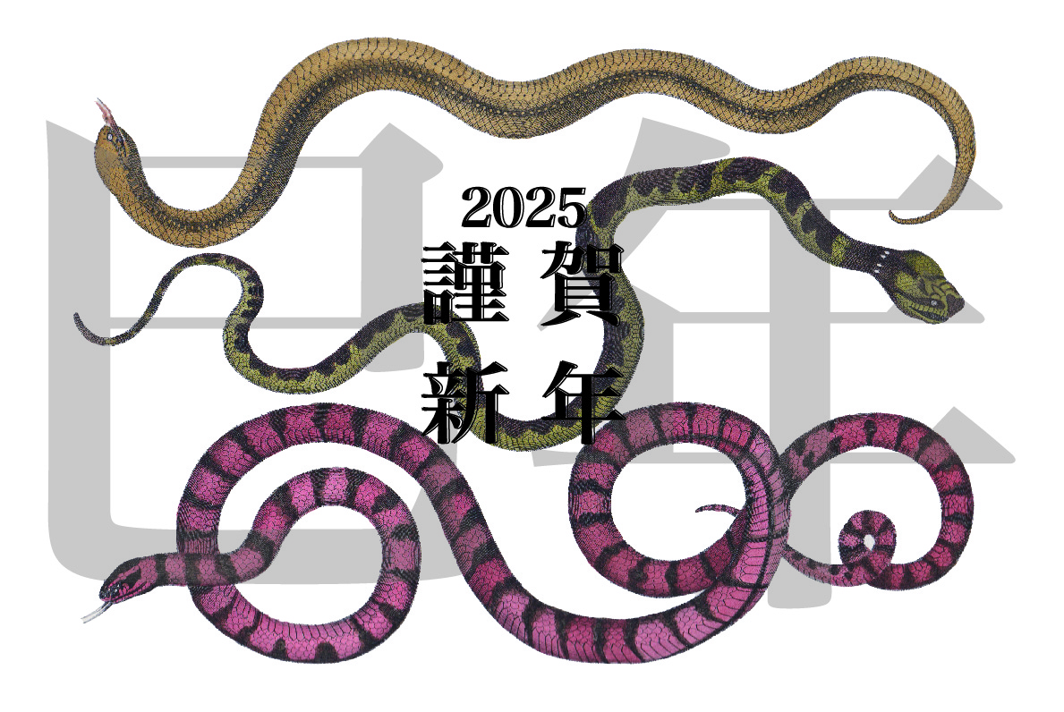 2025年もよろしくお願いします