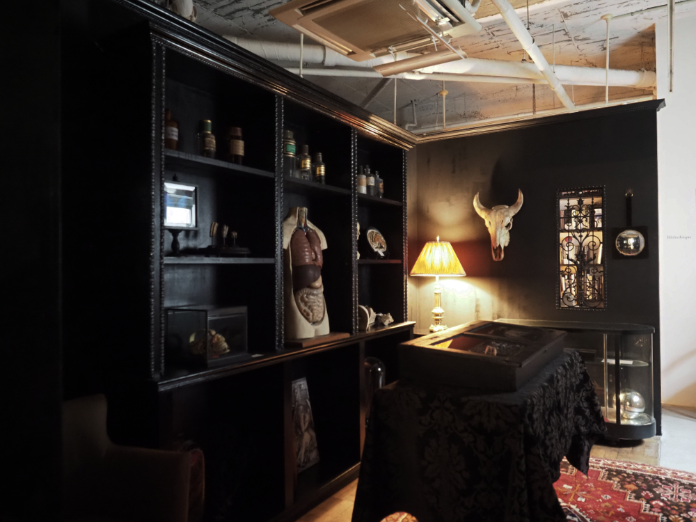 antique Salonの空間をレンタル致します