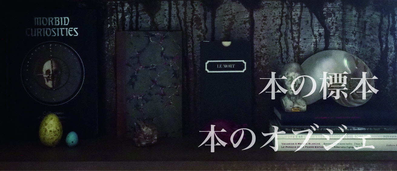 特別展示室 第1回企画展『本の標本、本のオブジェ』