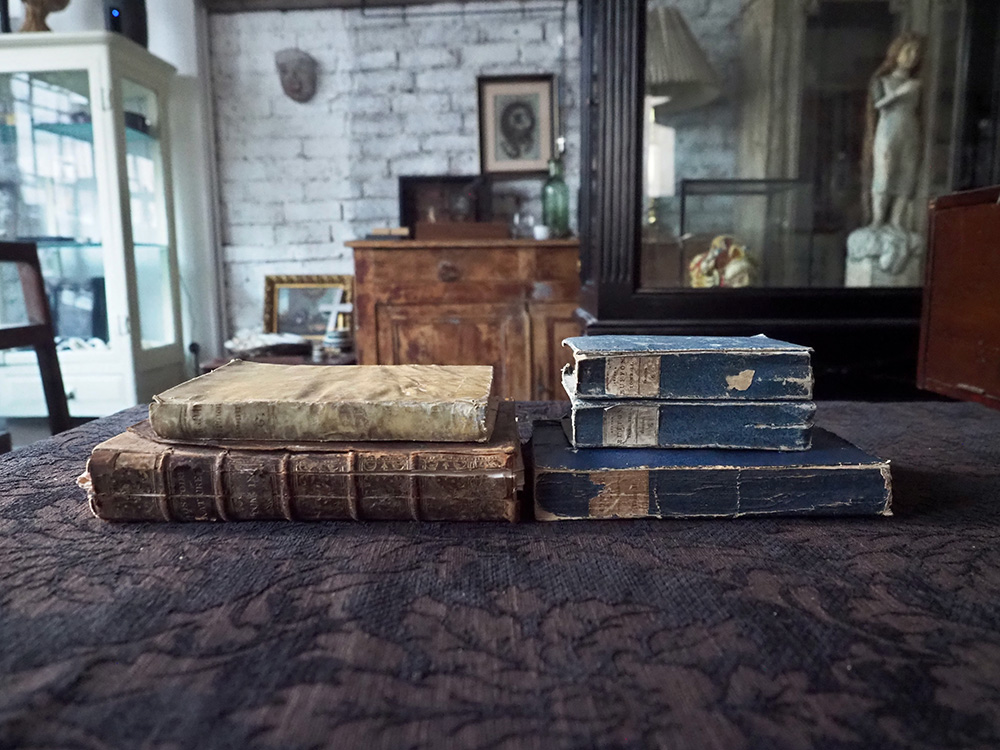 2026年 ハッピーバックの発売